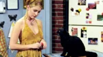salem-the-cat-lede