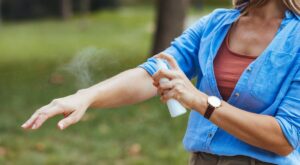shutterstock_2494473573-1