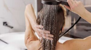 shutterstock_2606143417-1
